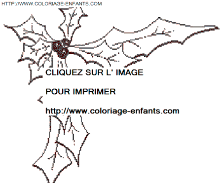 coloriage Fetes Noel Houx