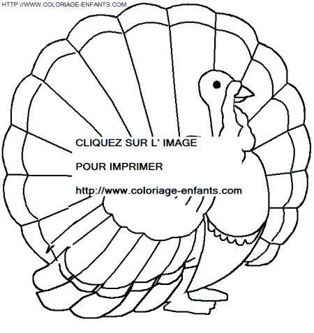 coloriage thanksgiving
