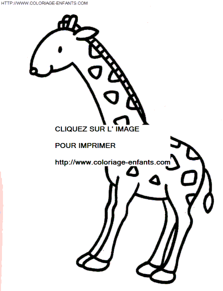 coloriage girafes