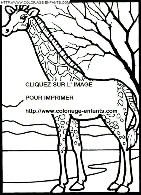 coloriage girafes