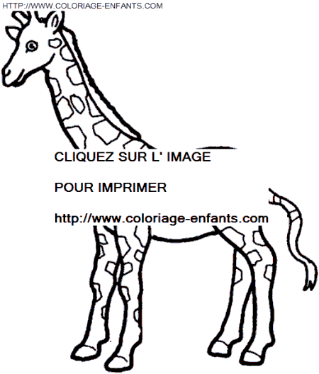 coloriage girafes