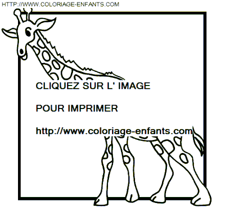 coloriage girafes