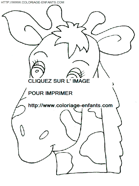 coloriage girafes