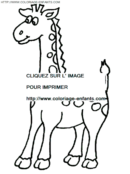 coloriage girafes