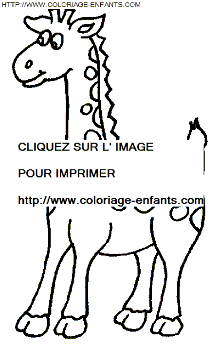 coloriage girafes