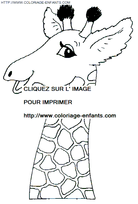 coloriage girafes