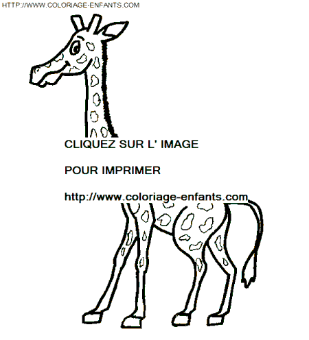 coloriage girafes