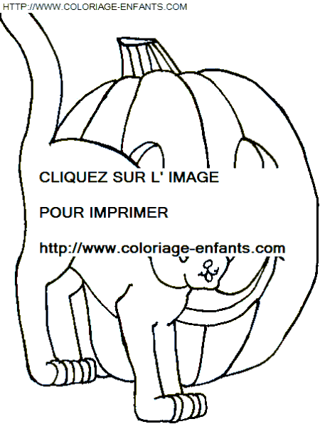 coloriage citrouilles halloween