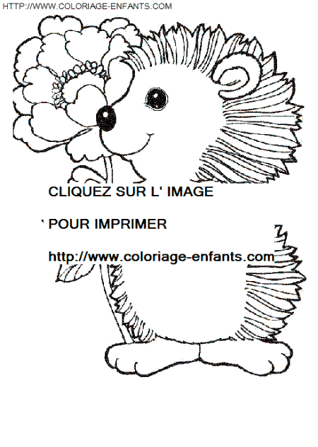 coloriage herissons