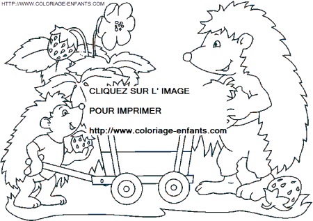 coloriage herissons