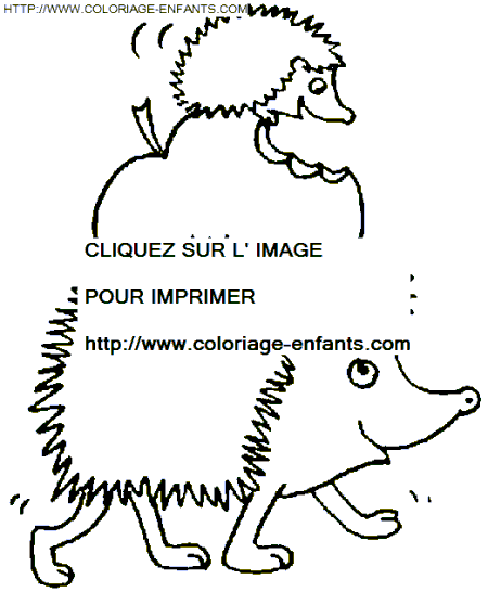 coloriage herissons