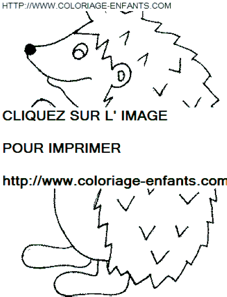 coloriage herissons