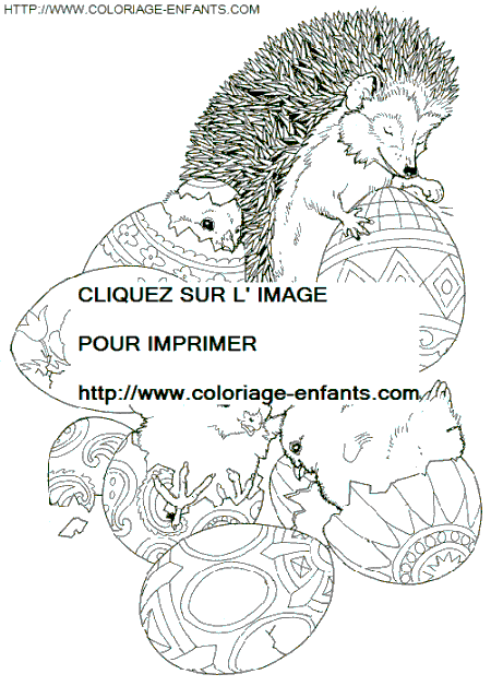 coloriage herissons