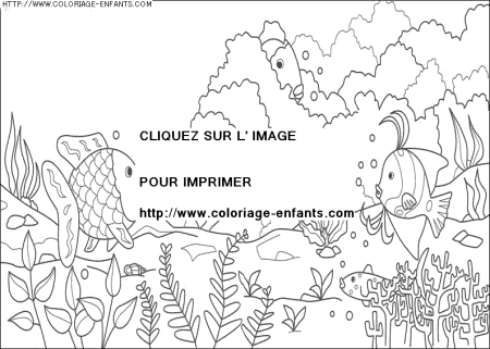 coloriage heros arc en ciel