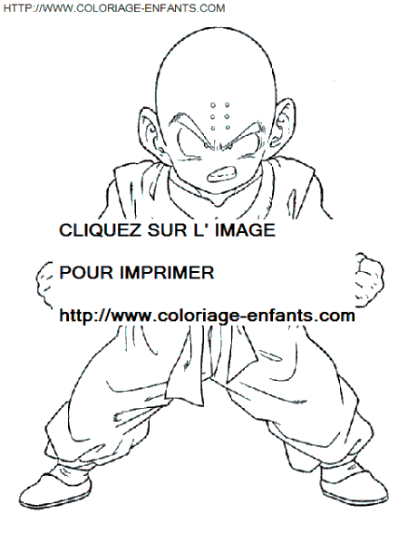 coloriage Heros Dragon Ball