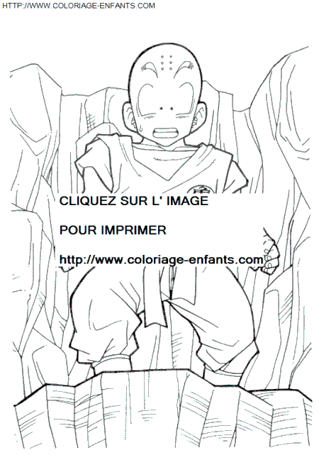 coloriage Heros Dragon Ball