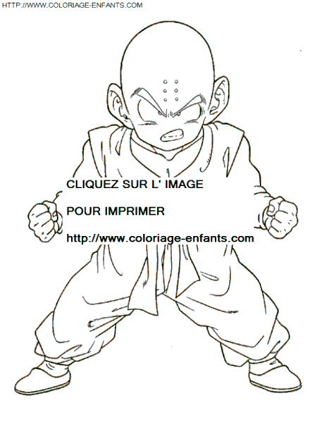 coloriage Heros Dragon Ball