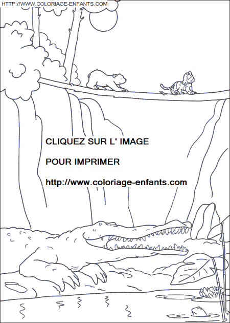 coloriage Heros Plume Ours Polaire