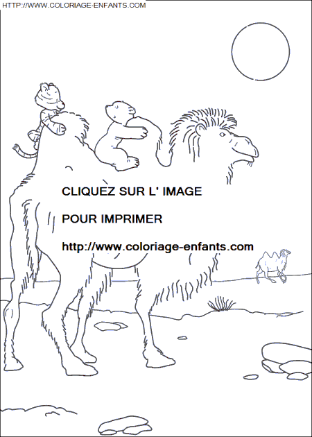 coloriage Heros Plume Ours Polaire