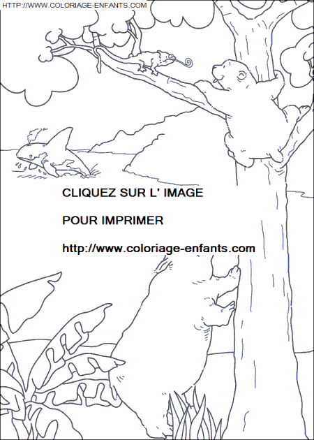 coloriage Heros Plume Ours Polaire