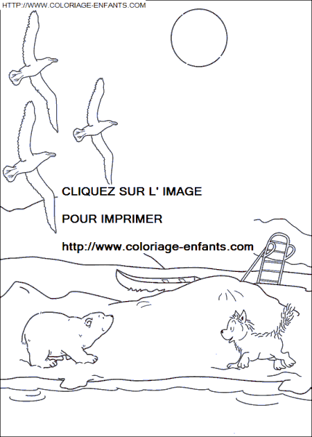 coloriage Heros Plume Ours Polaire