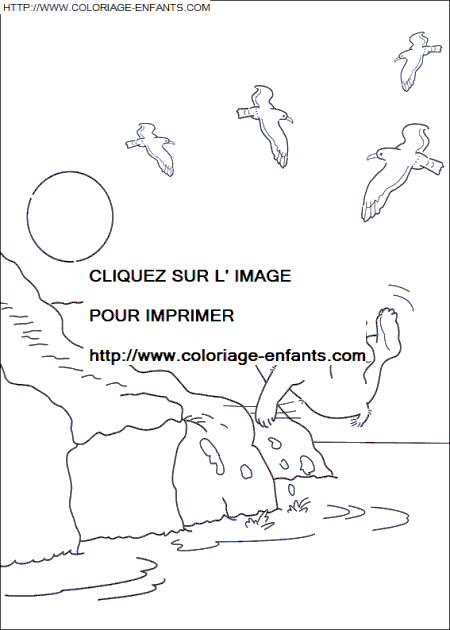 coloriage Heros Plume Ours Polaire