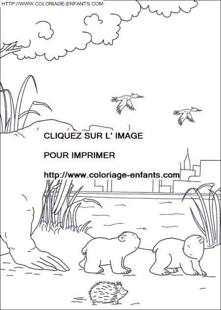 coloriage Heros Plume Ours Polaire