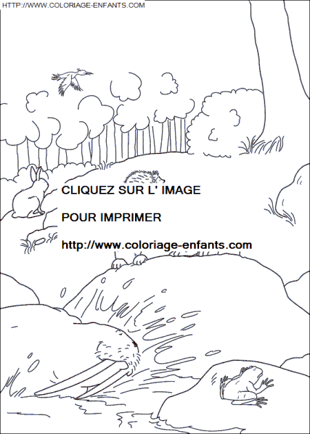 coloriage Heros Plume Ours Polaire