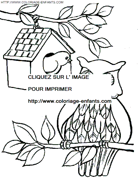 coloriage hiboux