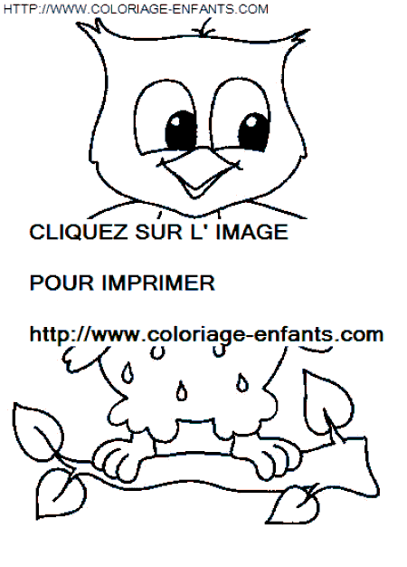 coloriage hiboux