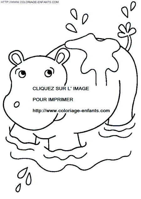 coloriage hippopotames