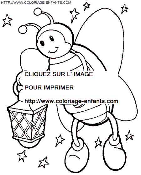 coloriage insectes