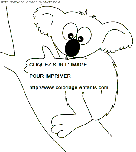 coloriage koalas