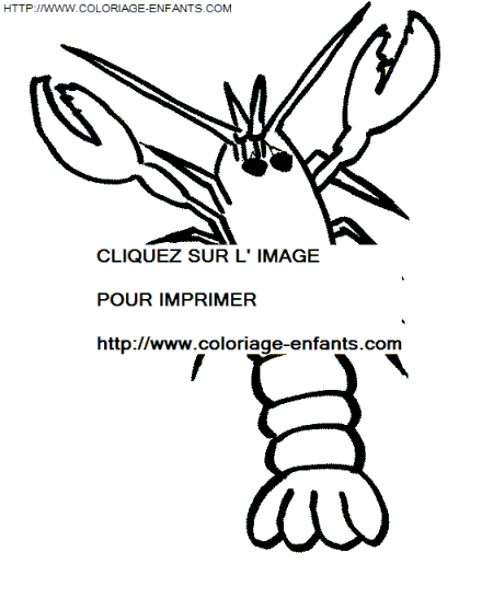 coloriage langoustes