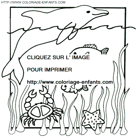 coloriage langoustes