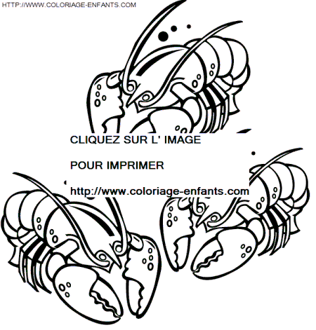 coloriage langoustes