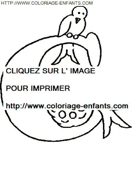 coloriage lettre oiseaux lettre c