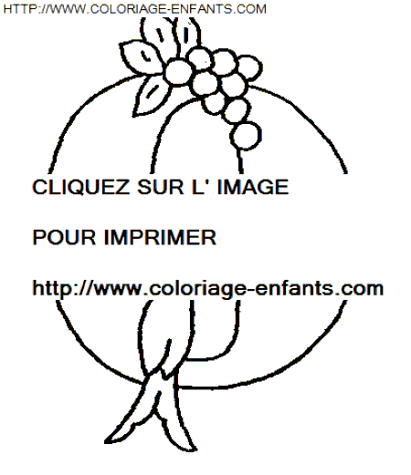 coloriage lettre oiseaux lettre o