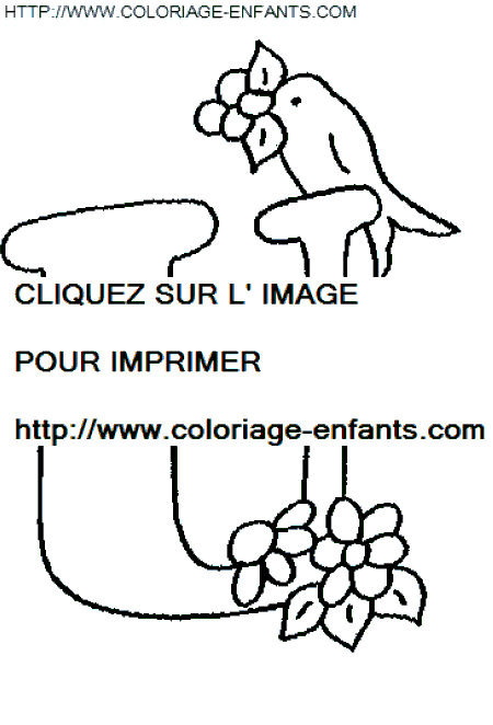 coloriage lettre oiseaux lettre u