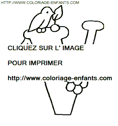 coloriage lettre oiseaux lettre v