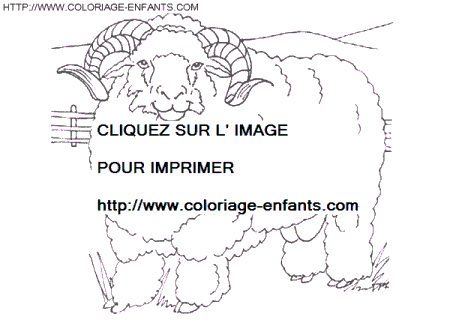 coloriage moutons