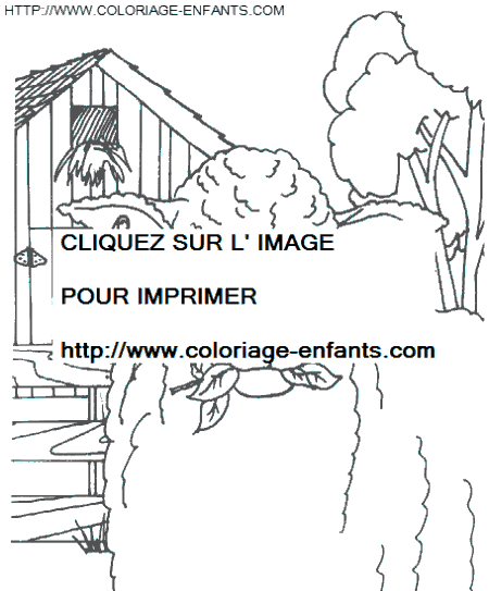 coloriage moutons