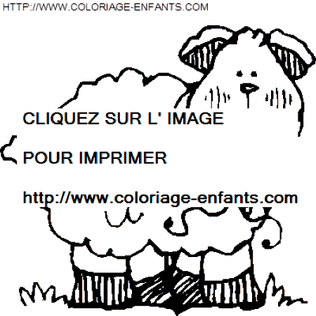 coloriage moutons