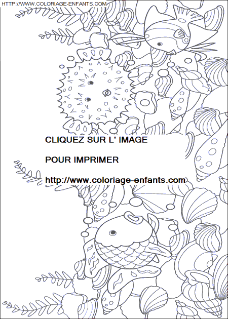 coloriage Nature Arc En Ciel