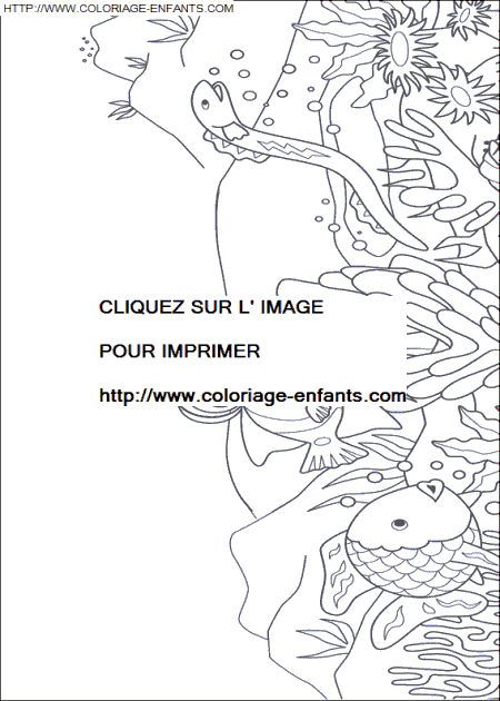 coloriage Nature Arc En Ciel