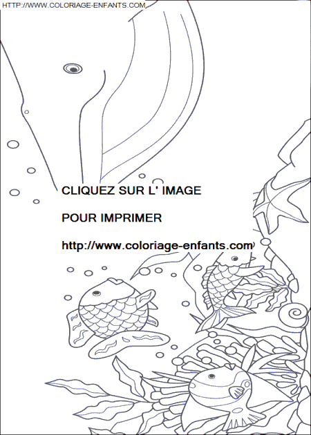 coloriage Nature Arc En Ciel