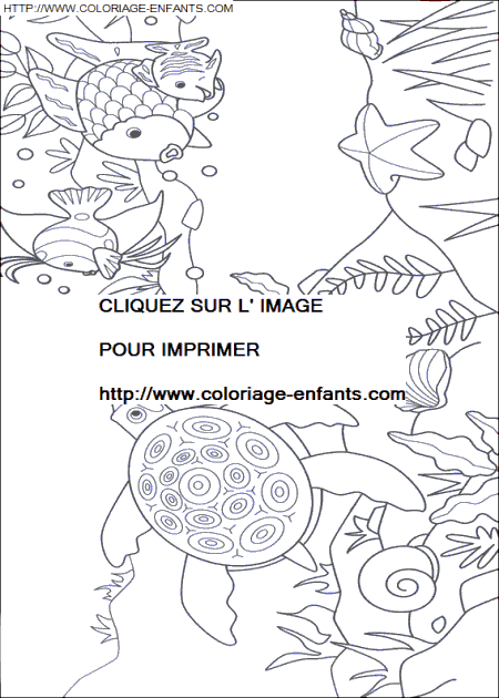 coloriage Nature Arc En Ciel