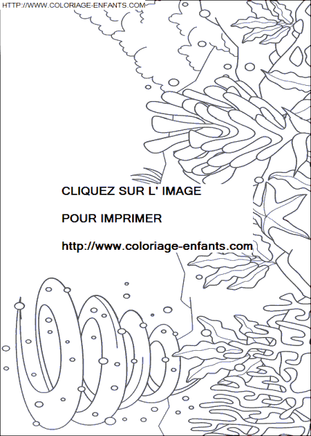 coloriage Nature Arc En Ciel