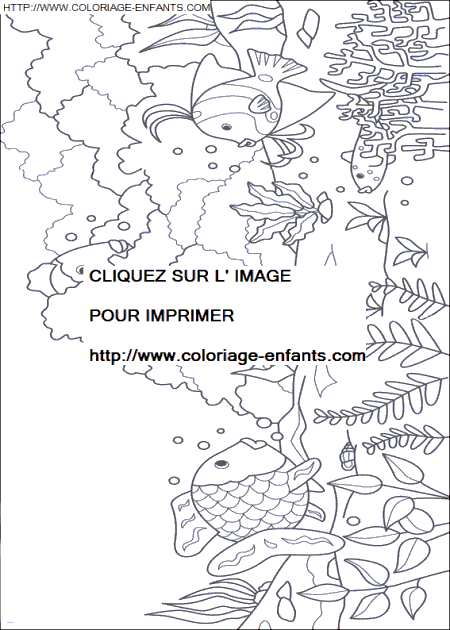 coloriage Nature Arc En Ciel