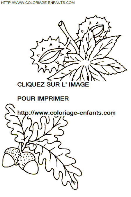 coloriage Nature Automne